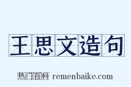 王思文造句是什么意思的图片